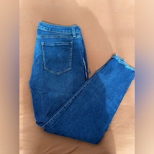 Arizona Jean Company Jeans